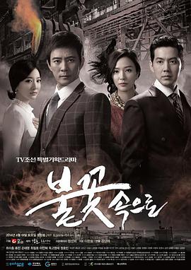 正规的seo推广优化